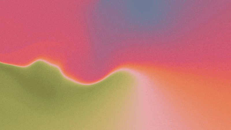 How to Get More Instagram Followers in 2026: Proven Strategies