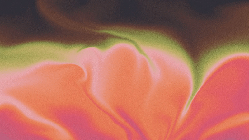 How to Create Brand Videos with AI: Real Examples and Practical Tips